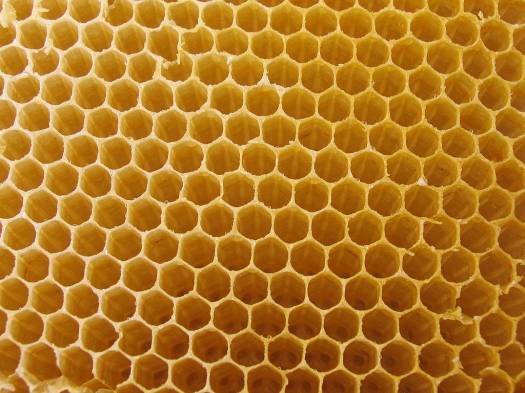 bee hive yellow